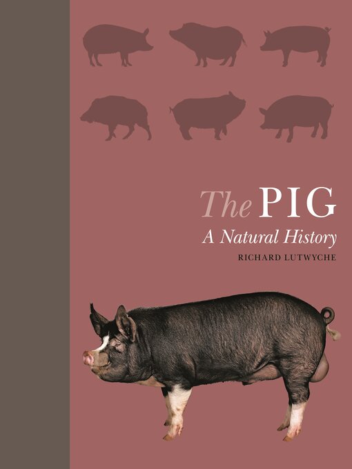 Title details for The Pig by Richard Lutwyche - Available
